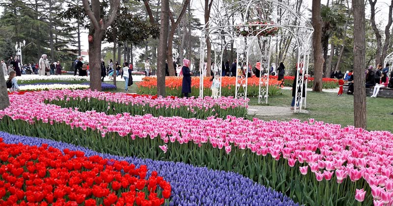 Tulip Festival Istanbul